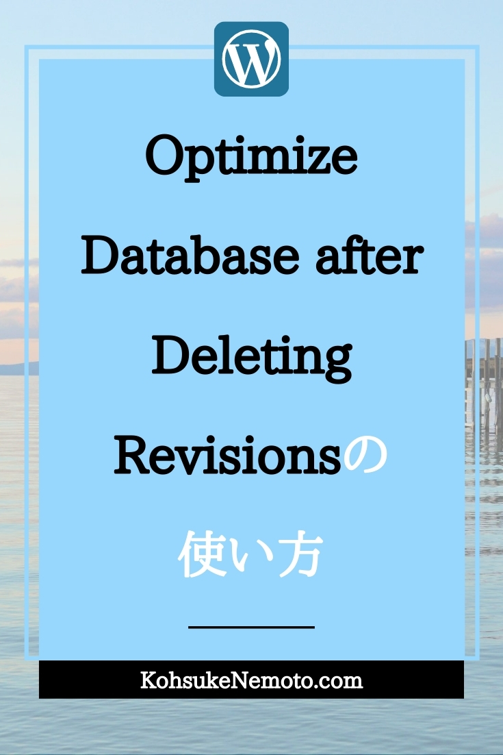 Optimize Database after Deleting Revisionsの使い方
